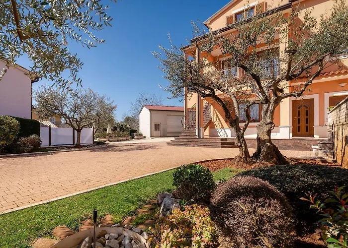 Oliva & Hedera Viridi